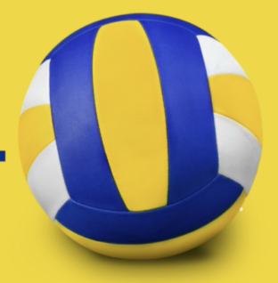 CMS Volleyball